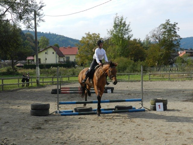 Babie Lato 2016